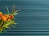 WX210F 3D панель гнучка 
